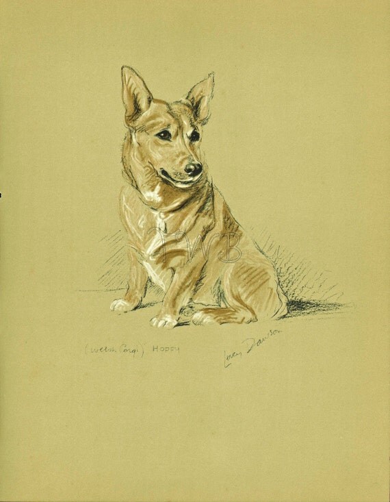 CORGI Dog Print, Puppy Print, Wall Decor, Wall Art, Antique Decor, Interior Design, Lucy Dawson, 1930s Home Decor, Dog Decor, B-3