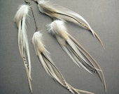 White Feather Earrings: Extra Long Feather Earrings Ivory Cream Bridal Earrings Tiered Natural Feathers on Brass Chain Hippie Bohemian