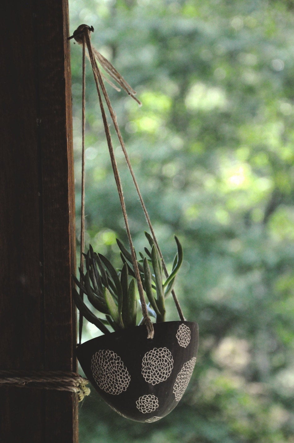 Hand Carved Ceramic Hanging Planter / Black & by HalfLightHoney