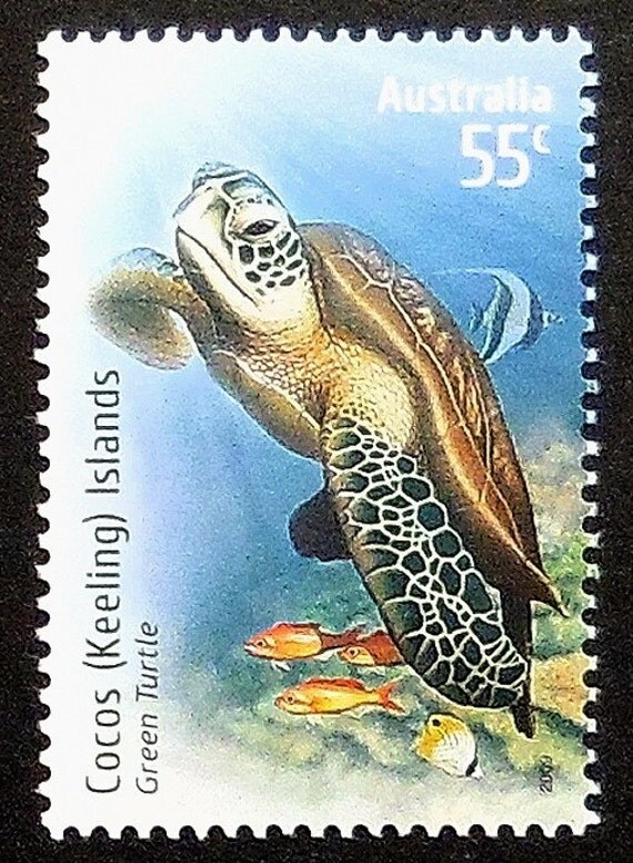 Green Turtle Australia Handmade Framed Postage Stamp Art