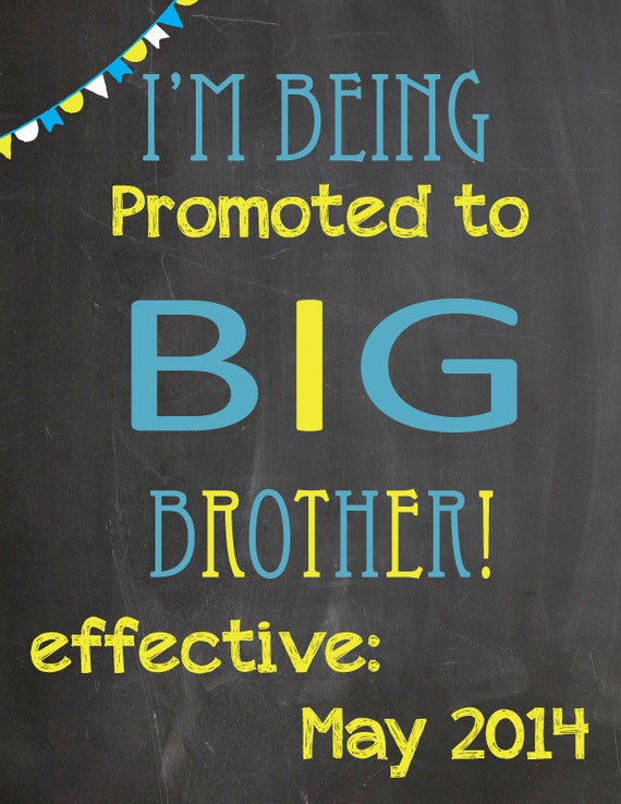 items-similar-to-i-ve-been-promoted-to-big-sister-big-brother