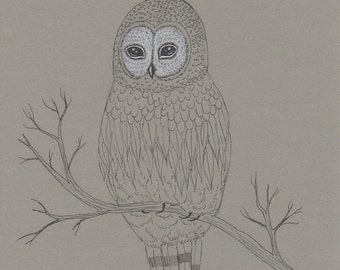 Popular items for drawings of owls on Etsy