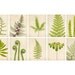 Botanical Print Set, Fern Art, Set of Prints, Living Room Art, Woodland, Forest, Nature, Wall Art, Green, Fine Art Photography