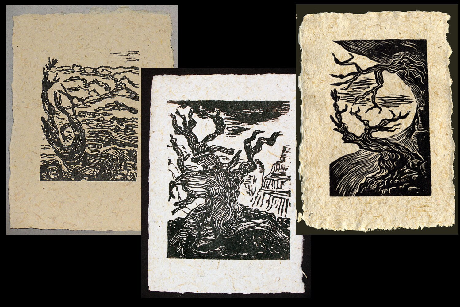 SET 3 Original Woodcut Prints Ancient Bristlecone Pines on