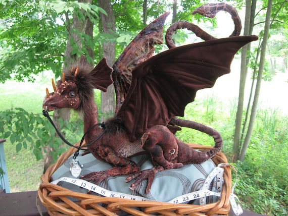 Reserved for Teresa - Do not purchase unless you are she! This is Ceylon,a very beautiful brown shoulder dragon, Percher dragon, Dragontry