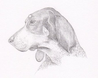 Coonhound dog art | Etsy