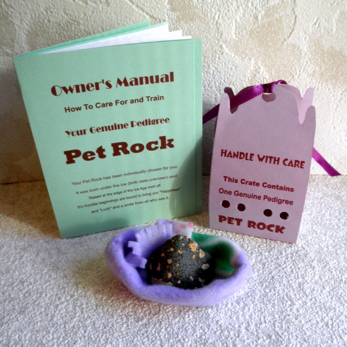 PET ROCK in carrying case with Bed n Training Manual