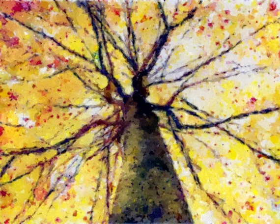 Watercolor Painting Print Autumn Tree Top 8x10 Giclee Print Nature Forest