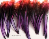 Pink Purple Ombre Feathers Neon Orange Tips Colorful Feathers Pink Purple Feathers Craft Supplies Ombre Laced Rooster Feathers Black Edge 12
