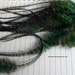 Forest Green Feathers Dark Green Feathers Green Grizzly Feathers Rooster Saddle Long Feathers Green Feathers for Hair Accessories Hats, 12
