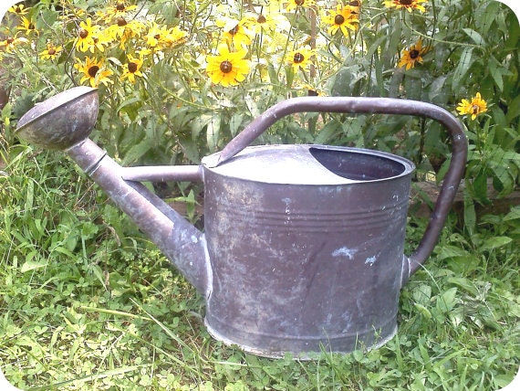 Rustic Watering Cans 5