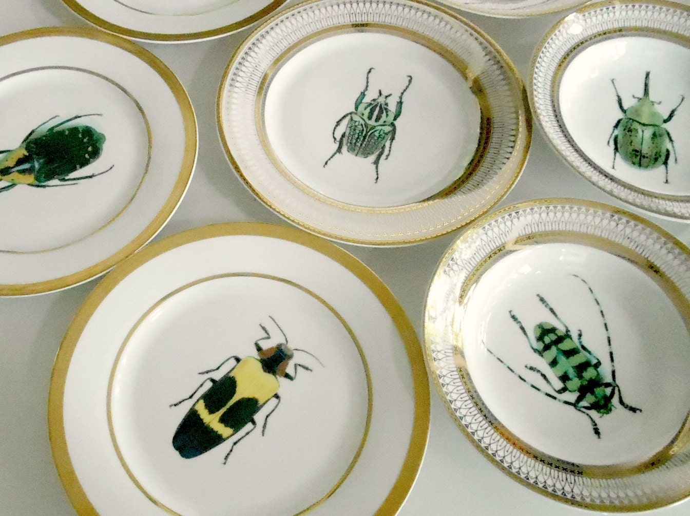 Custom Order For Heather One Green Beetle Salad Plate - Funky Dishes Custom Plates Custom Dinnerware Custom Porcelaincustom Tableware Customized Tablewaresilver Dinnerware Silver Dishessilver Plates custom order for heather one green beetle salad plate - funky dishes custom plates custom dinnerware custom porcelaincustom tableware customized tablewaresilver dinnerware silver dishessilver plates