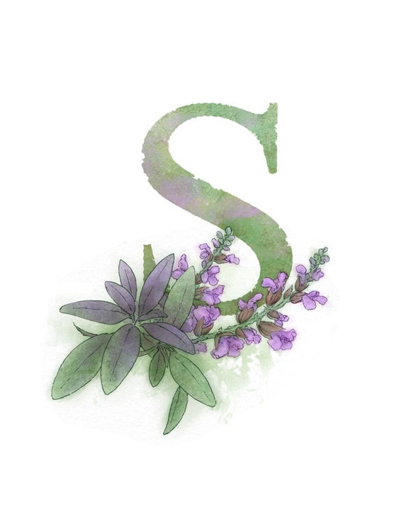 Letter S Art Print, Sage, Nature Theme Alphabet Art, Nursery Giclee Print