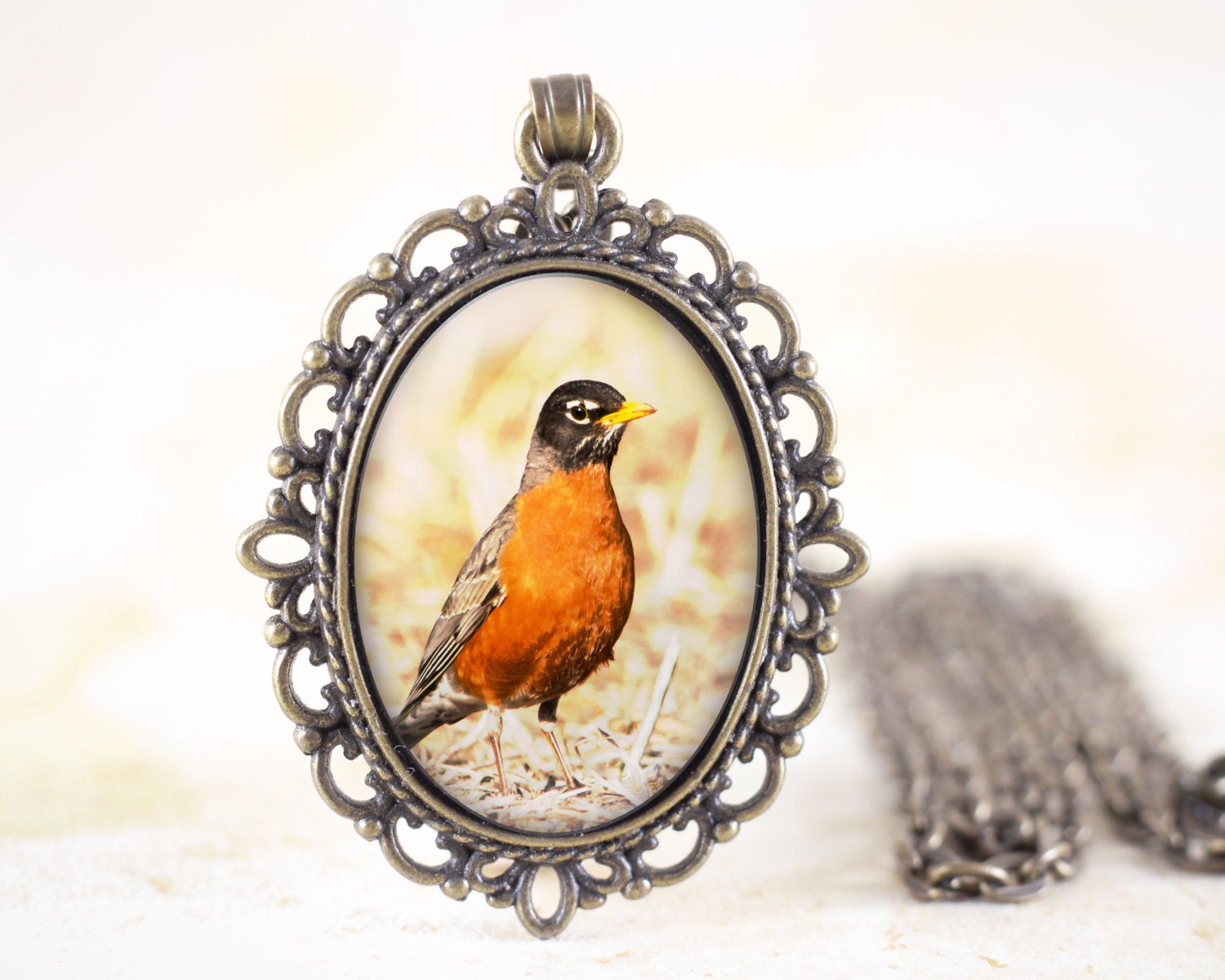 Spring Robin Necklace Red Robin Bird Jewelry Nature