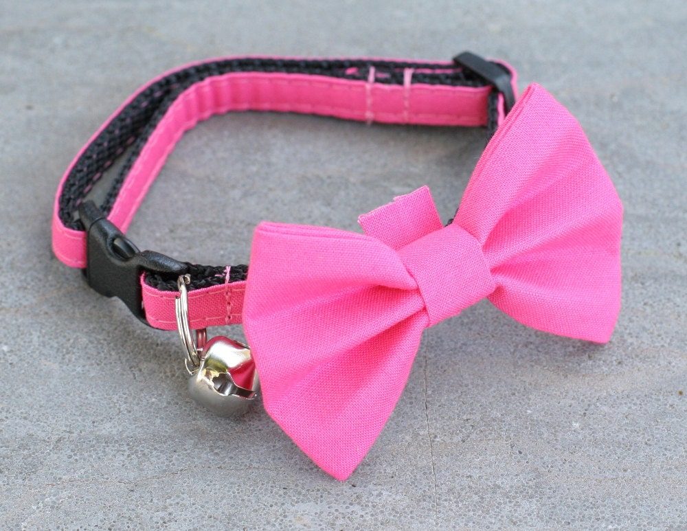 Pink Collar Pink Cat Collar Hot Pink Cat Collar Hot Pink