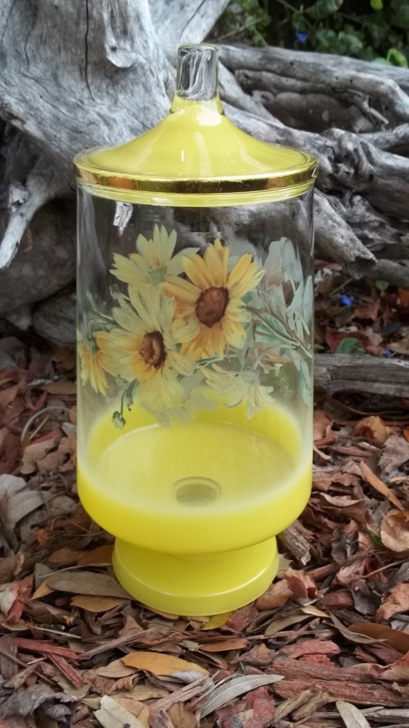 Vintage West Virginia Glass Company Blendo by CherylLeeCorner