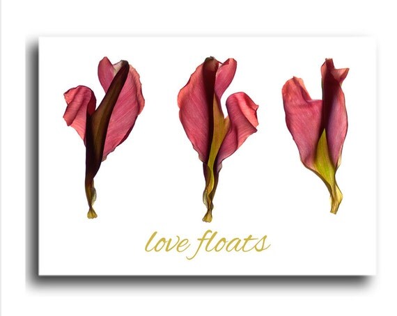 Valentine Card Mothers Day Card Flowers Handmade Card Free Shipping Blank Inside by Julia McLemore