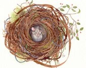 mouse nest wildlife nature twigs art painting watercolor