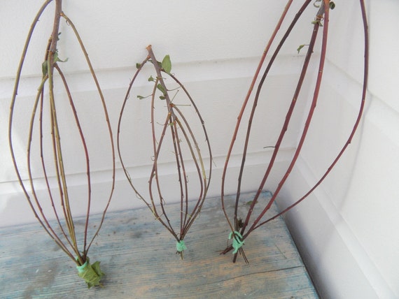 loom & leaf loom & leaf