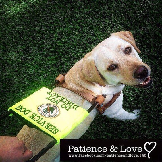 1 Guide Dog Harness Sign Service Dog I'm Working Patch