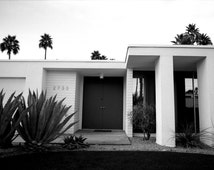 Modern Architect ure Palm Springs Cacti Succulents Black and White ...