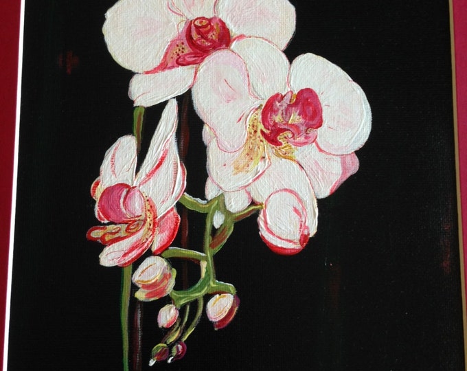 White Orchids with Red Matte in a 14 x 16 Black Wood Frame