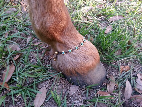 Turquoise and Brass Equine Pastern Bracelet  by MyBuddyBling