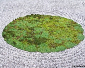Japanese zen garden | Etsy