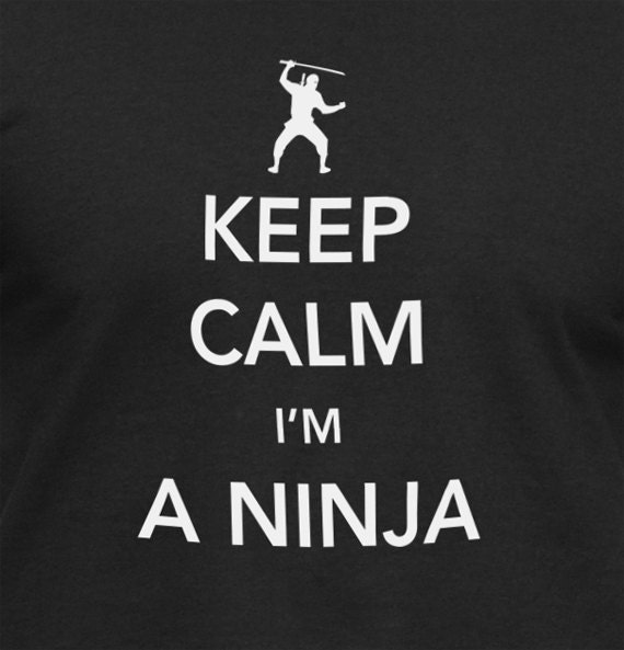 secret ninja shirt