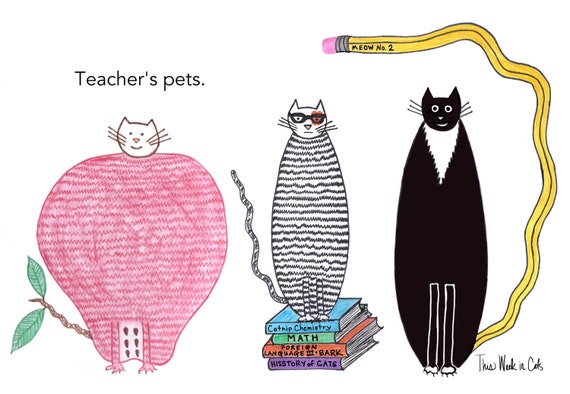 Teacher's pets cat card from This Week In Cats
