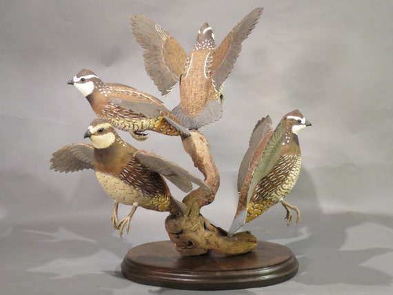 Items similar to QUAIL, Covey Rise of Bobwhite on Etsy