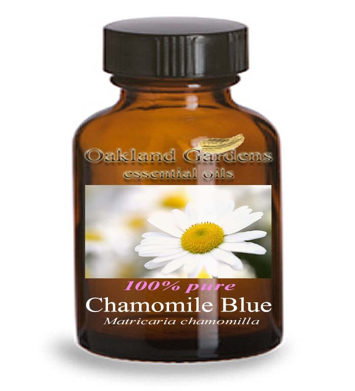 Chamomile Blue GERMAN CHAMOMILE Essential Oil UNDILUTED