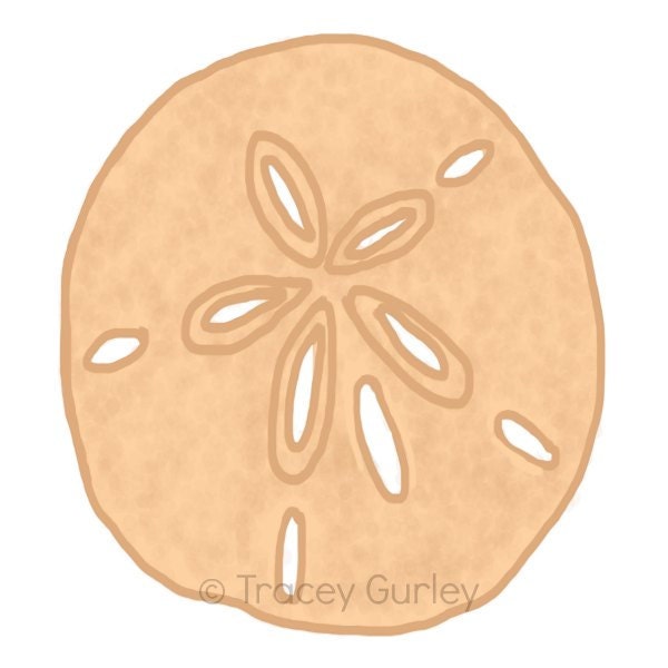 Clip Art Sand Dollar Clip Art sand dollar clipart etsy original art download 2 files clip beach art