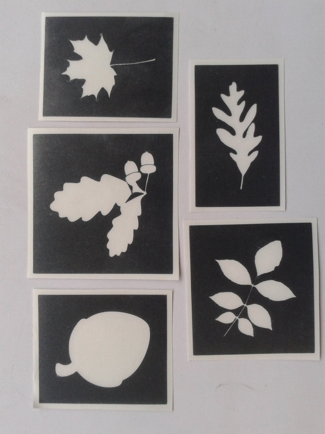 Fall / Autumn leaves themed stencils for etching on glass