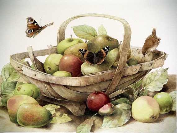 Wonderful Marjolein Bastin Full Color Print Entitled The Apple Basket * Beautiful 11 x 14 Framable Nature Print
