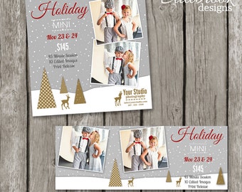 Christmas Mini Sessions Templates - Holiday Mini Session Marketing Board Facebook Cover - TS01