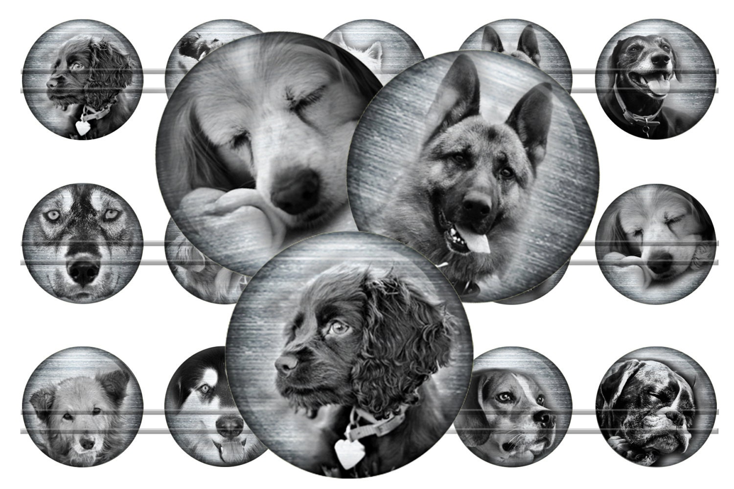 Dogs on the metal Digital bottle caps images 1''