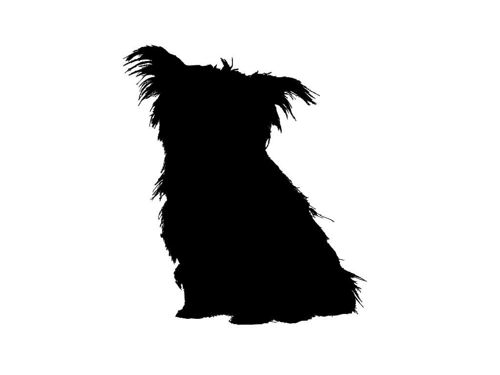 Download Yorkshire Terrier Dog Breed Silhouette Custom Die Cut Vinyl