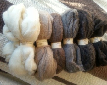 Navajo Churro Wool Roving, Homegrown Natural Colors 4 oz.