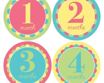 Monthly Baby Girl Stickers, Baby's First Year Stickers, Monthly Photo Sticker, Baby photo album, Month to Month Stickers, Girl Baby Stickers