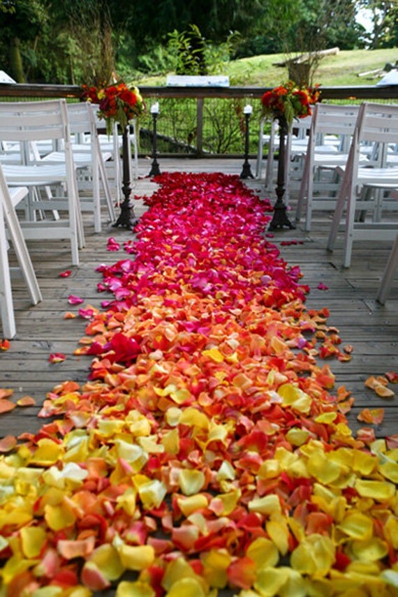 3000 Super Silky Rose Petals Wedding Party Decorations Aisle