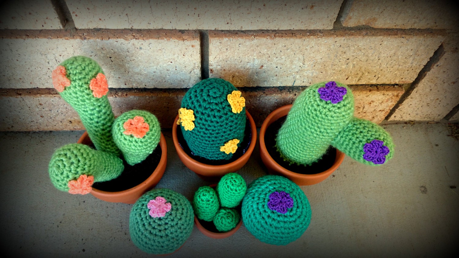 5 Small and Large Crochet Cacti Patterns PLUS flower pattern