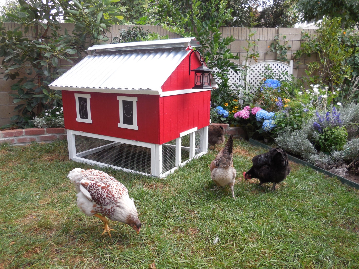 Easy Clean Chicken Coop by TheSmartChickenCoop on Etsy