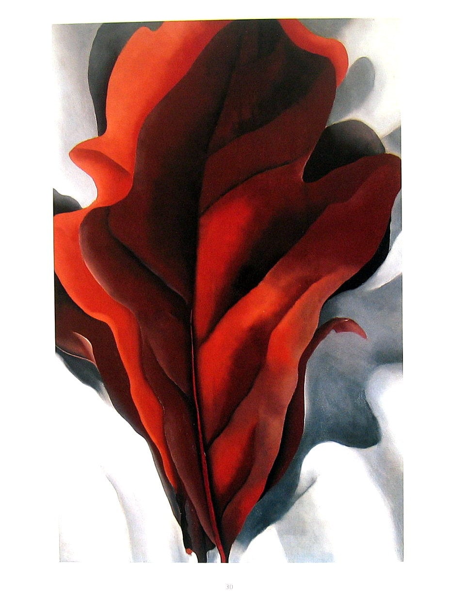 O'Keeffe Print Large Dark Red Leaves by mysunshinevintage