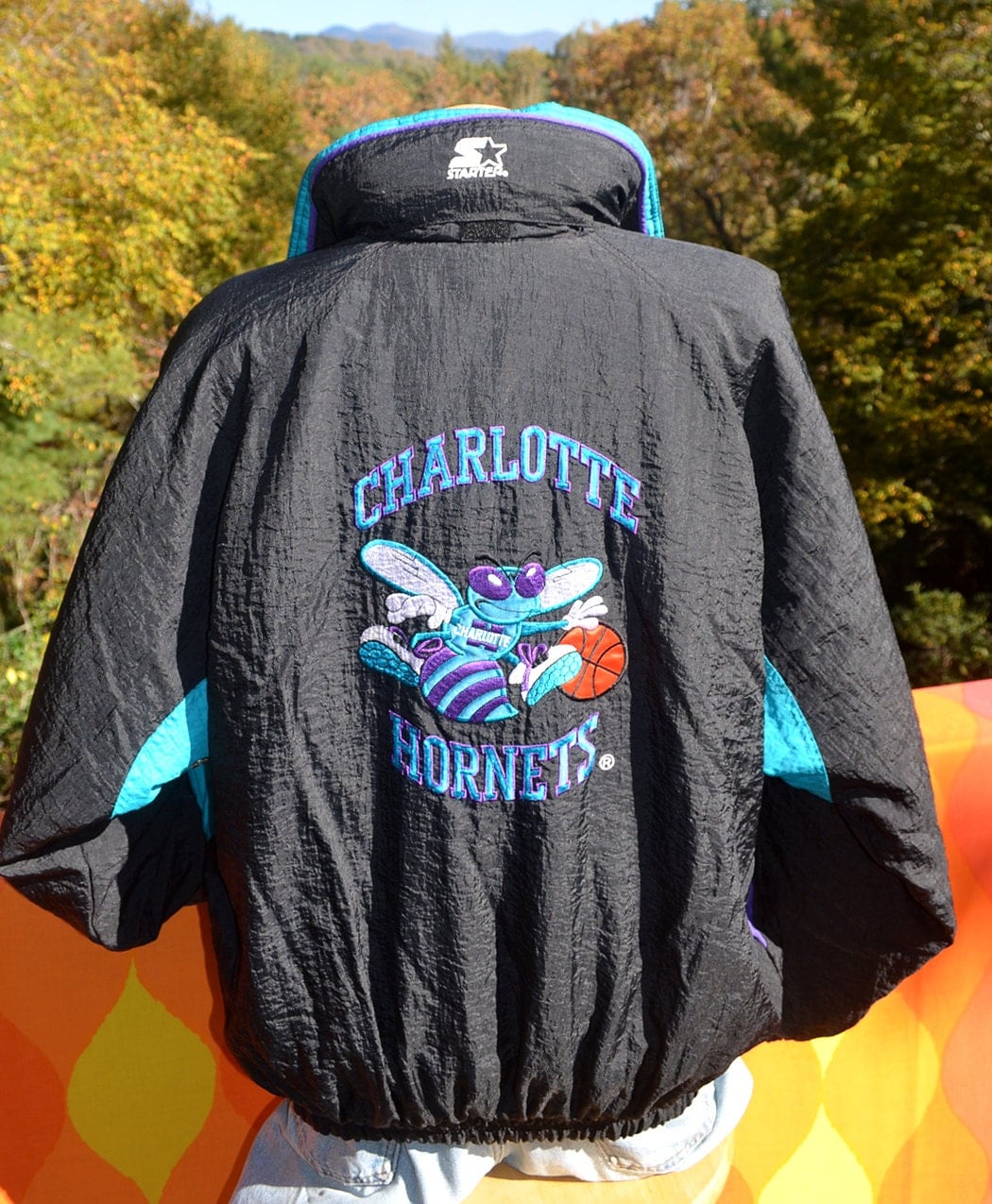 https://www.etsy.com/listing/166596962/vintage-90s-starter-jacket-charlotte