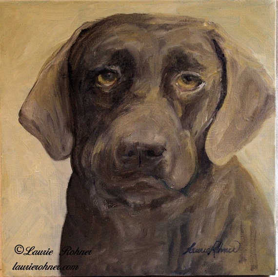 pet portrait brown lab by Laurie Rohner