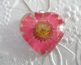 Pink Daisy Pressed Flower Glass Heart Pendant-Symbolizes Loyalty, Innocence-Nature's Wearable Art-Gifts Under 25