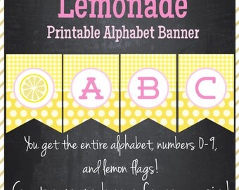 Pink lemonade banner | Etsy