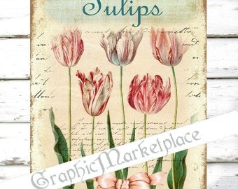 Tulips Flowers Large Image Instant Download Vintage Decoupage Shabby Chic Transfer Fabric digital collage sheet printable No. 1179