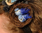 Bluejay Family Headband/Bird Headband
